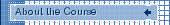 About the Course